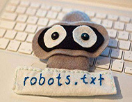 鄭州網(wǎng)站建設(shè)：Robots在SEO中的作用是什么？